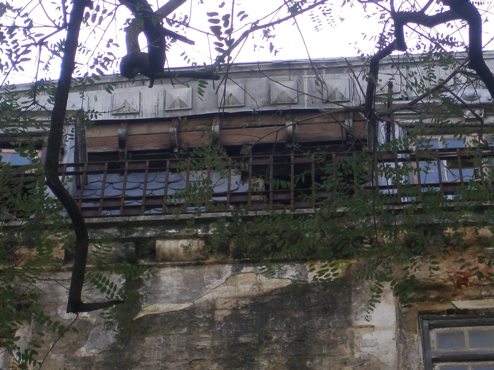 [P4050050.JPG]
