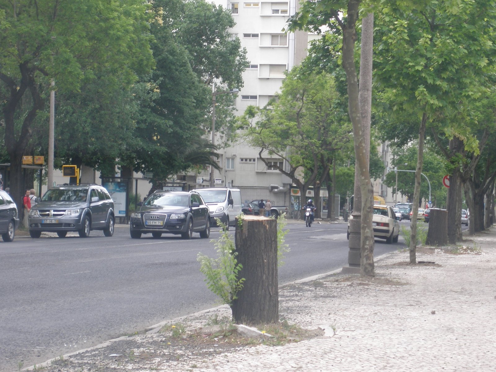 [P4290161.JPG]
