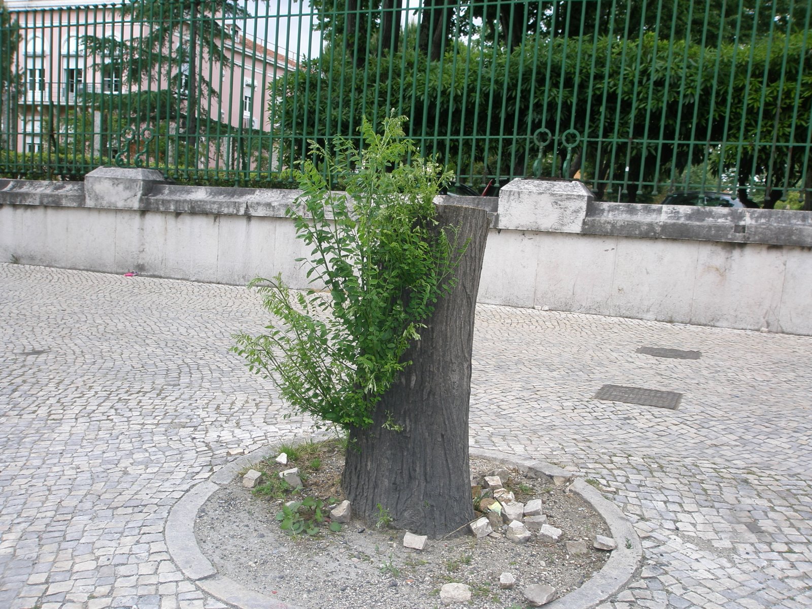 [P4290167.JPG]