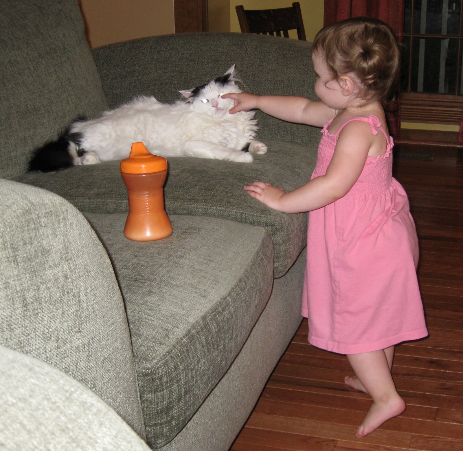 [IMG_1973.JPG]