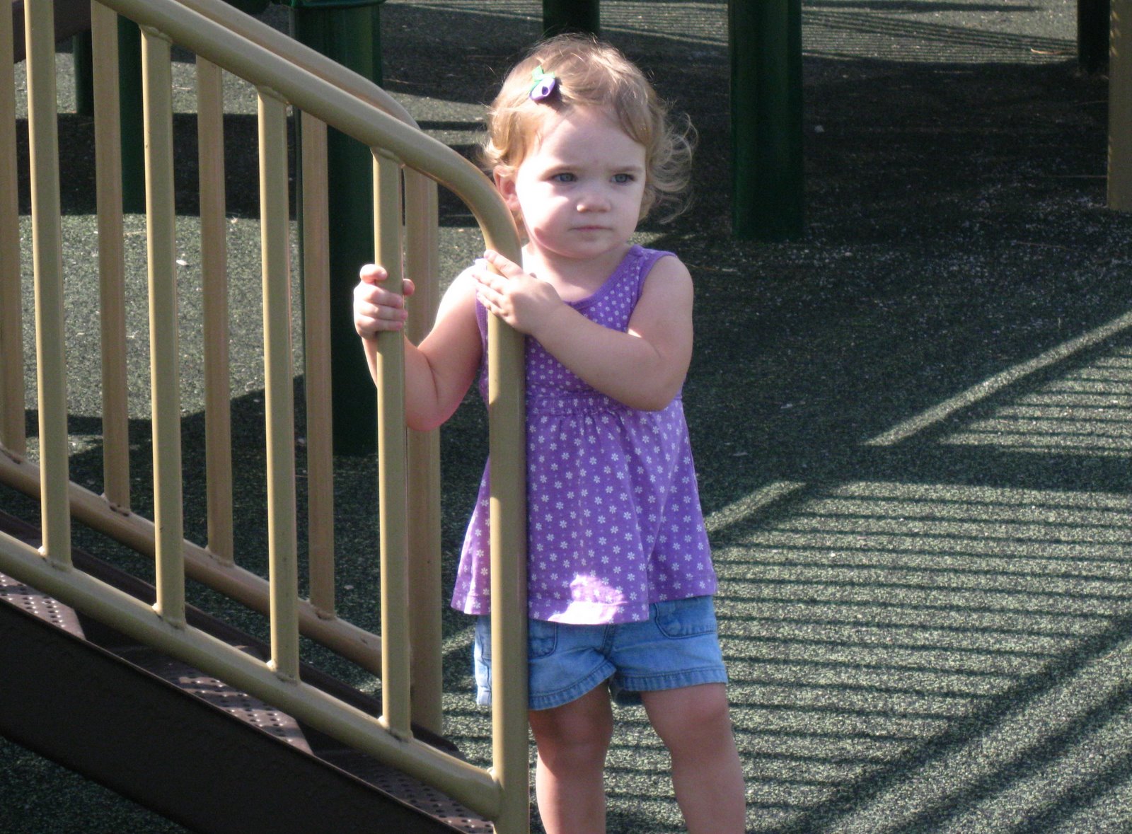 [IMG_3264.JPG]