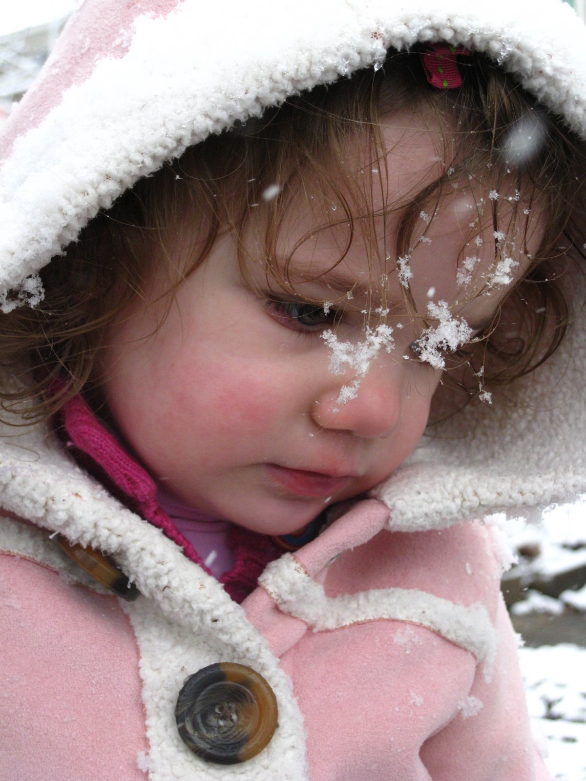 [IMG_7882.JPG]