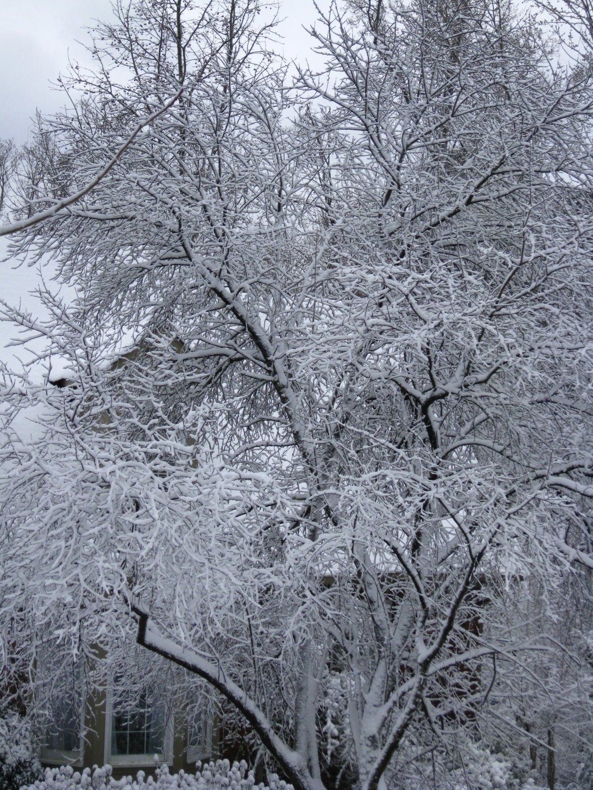 [IMG_7930.JPG]