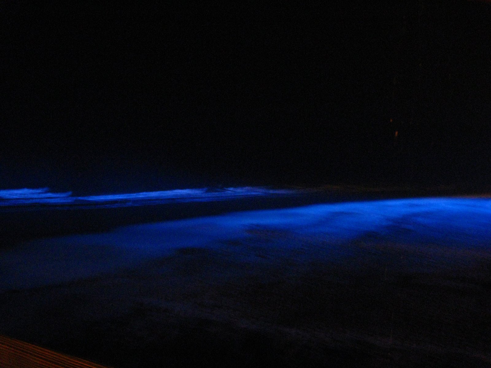 [IMG_8754.JPG]