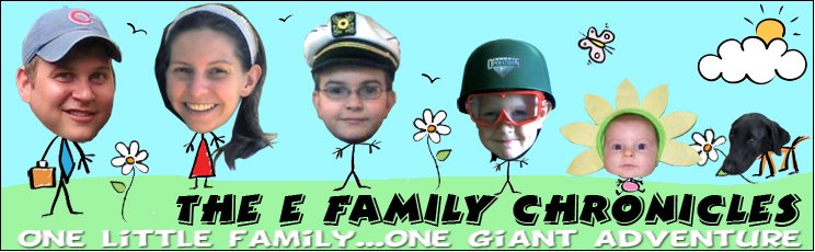 The E Family Chronicles