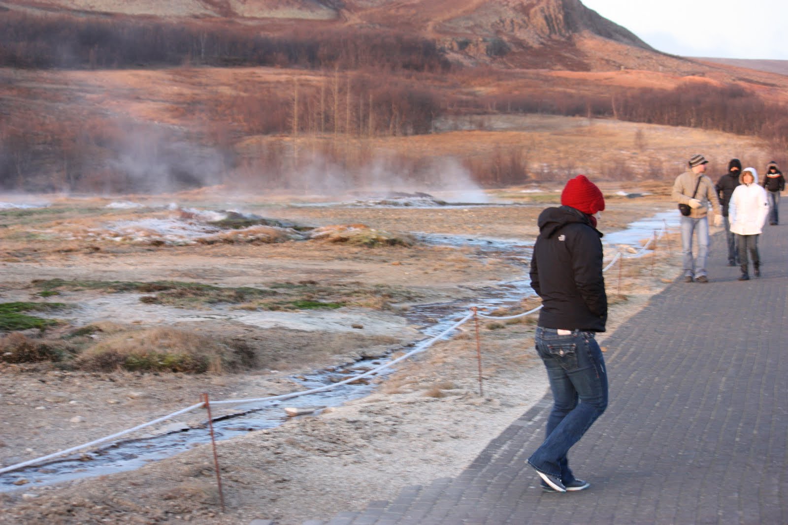 [IMG_0729[1]]