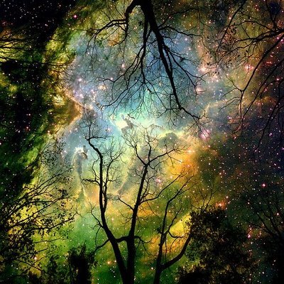 [Cosmos.jpe]