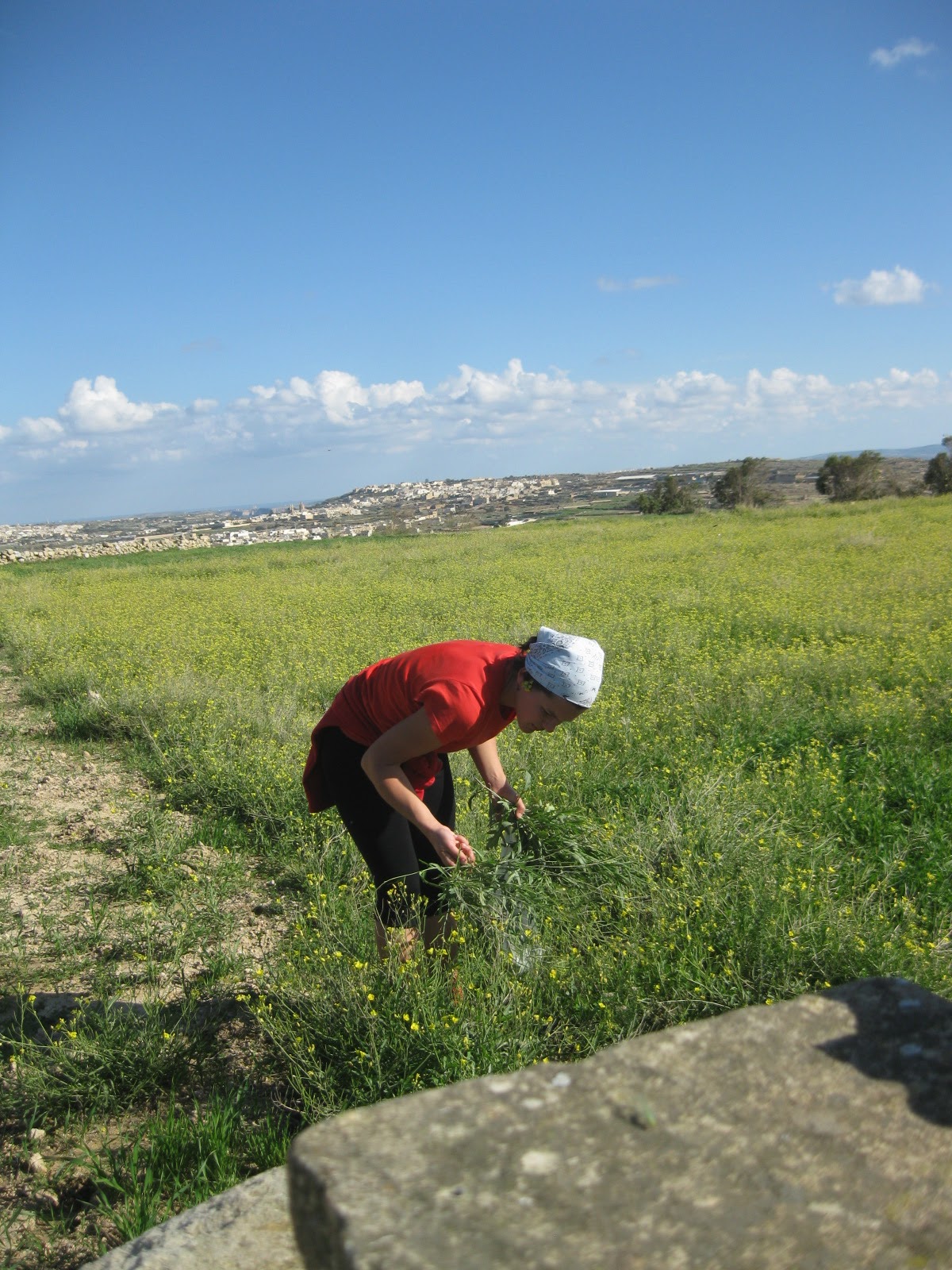 Tourism In Malta