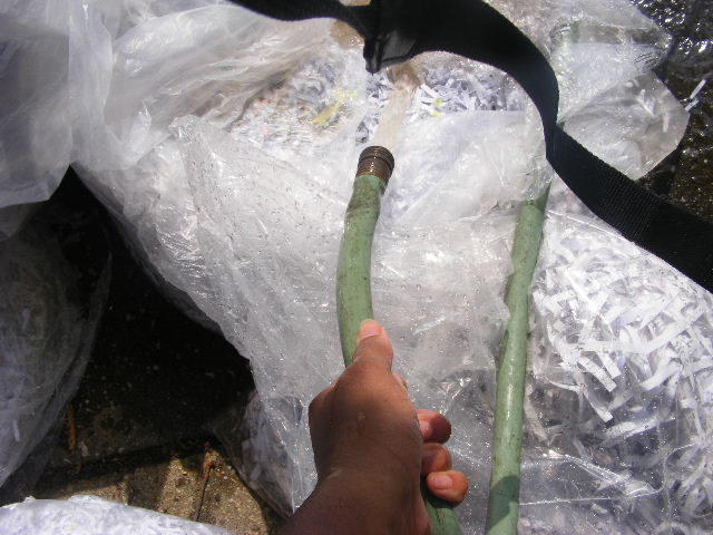 [DSCF0239.JPG]