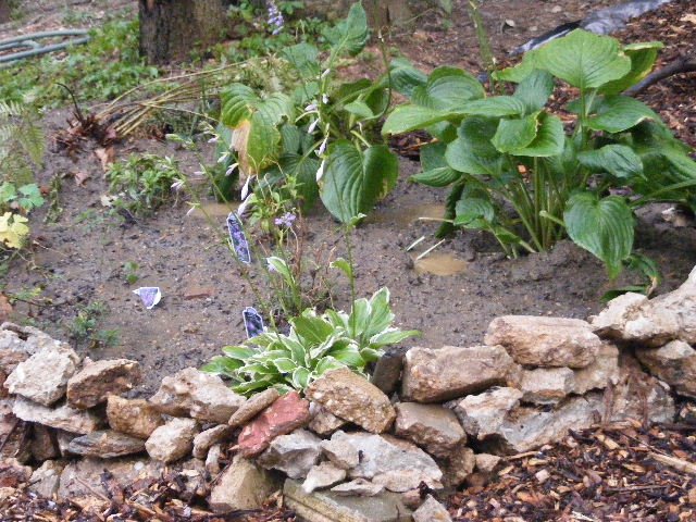 [DSCF0029.JPG]