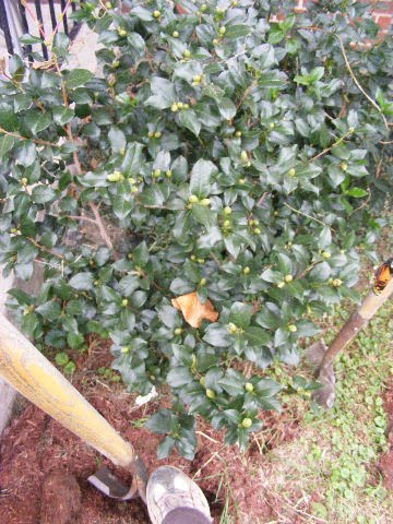 [DSCF0225.JPG]