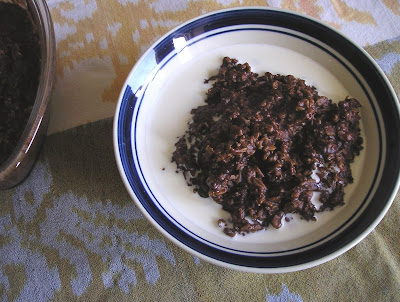 Cocoa Oatmeal Cocoa Oatmeal