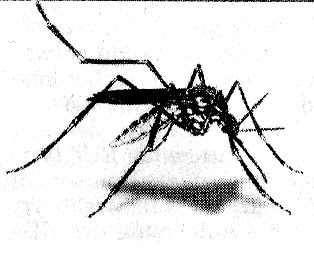 Der Wanderfreund Wandern Auf Dem 2 Grunen Ring Um Hamburg Route