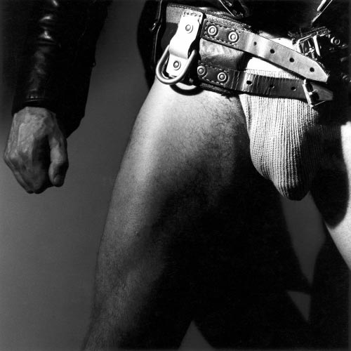 [mapplethorpe_e.jpg]