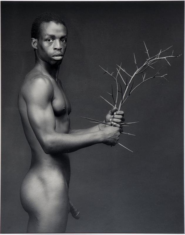 [Mapplethorpeopera128_museo_madre.jpg]