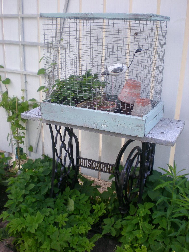 [DSCN9209.JPG]