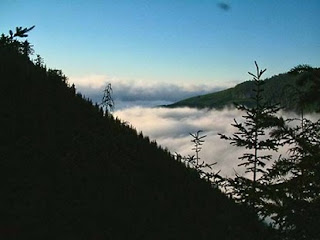 Oregon Bob Case Photo Above The Fog