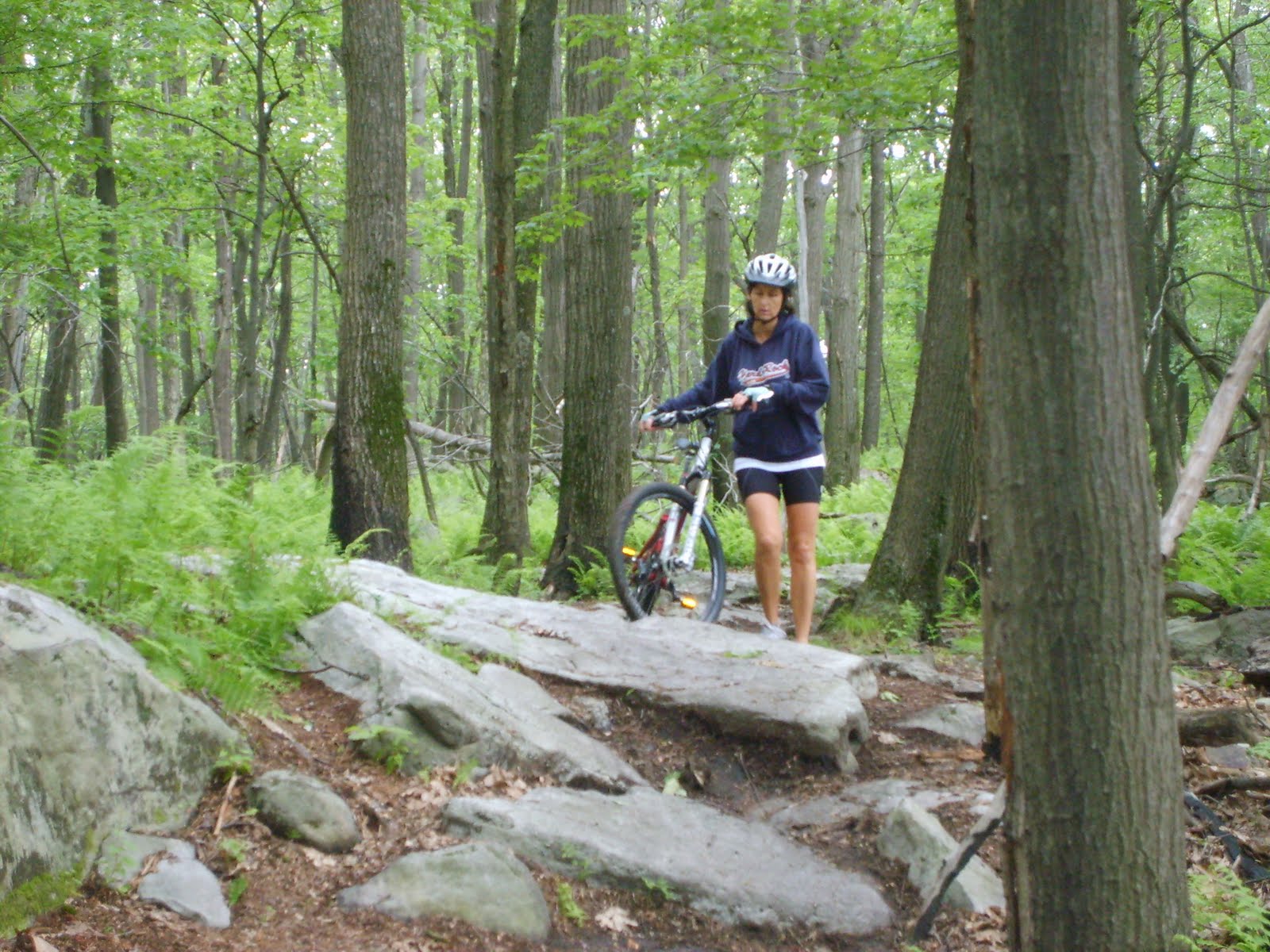 Leadwing On The Trail January 2011