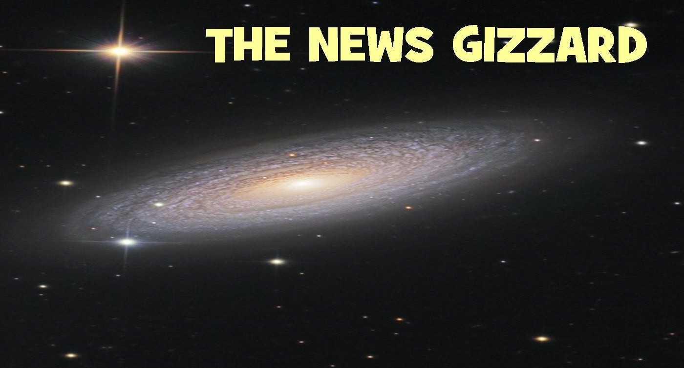 THE NEWS GIZZARD