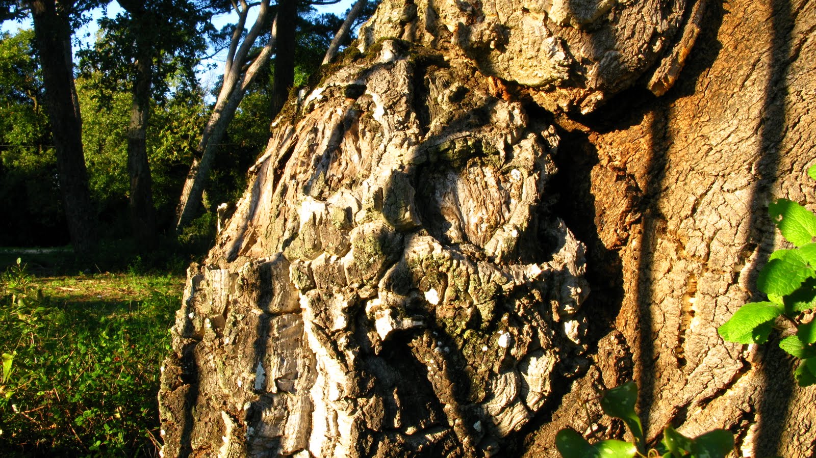 [IMG_0044.JPG]