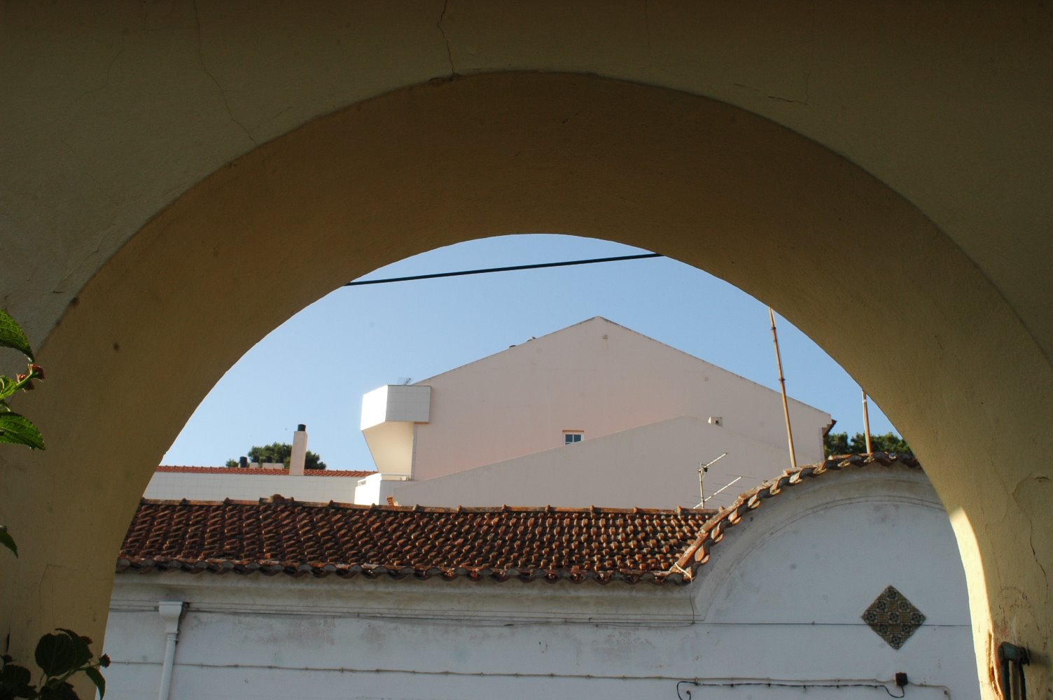 [DSC_0140.JPG]