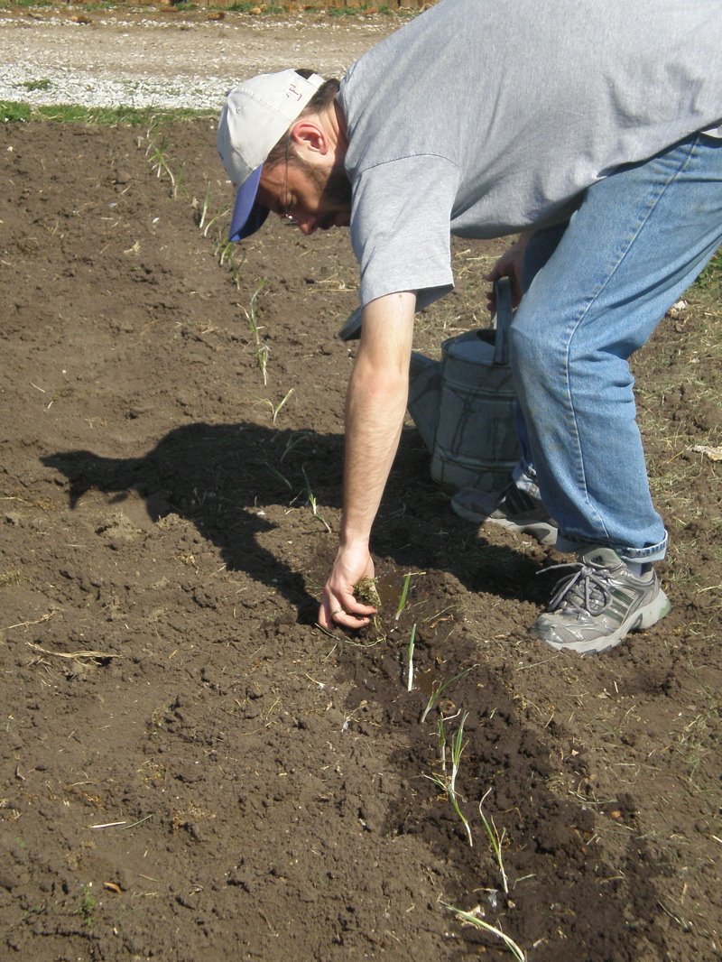 [Library+-+1742.jpg]