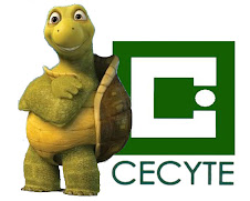 cecyte28