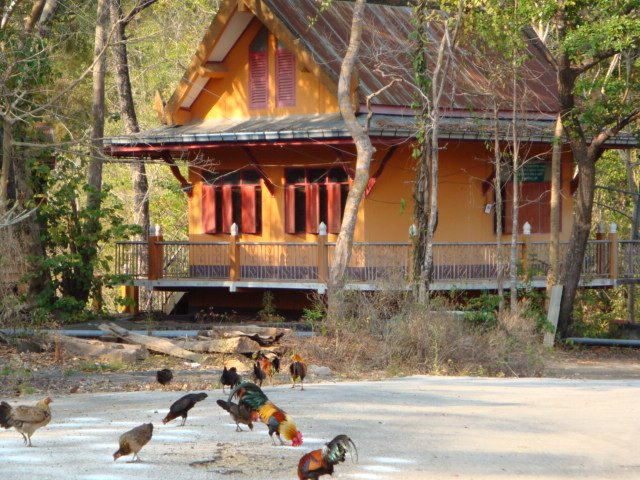 [DSC01636.JPG]