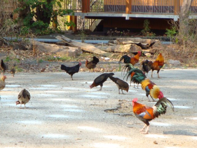 [DSC01635.JPG]