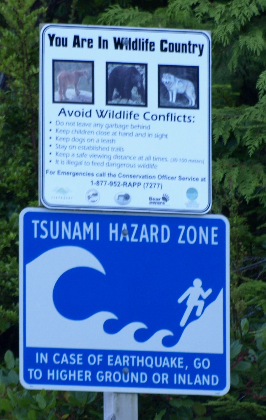 [Tofino_Ucluelet20080909_141.JPG]