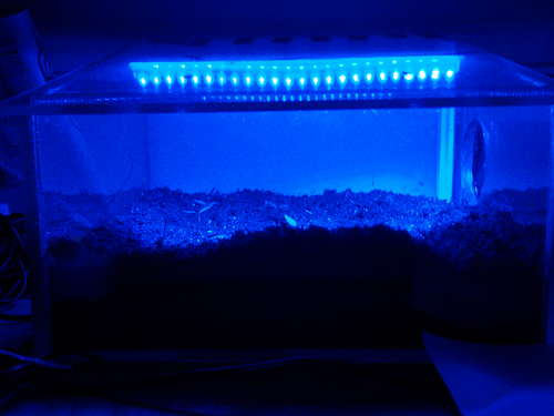 Led Greenhouse
