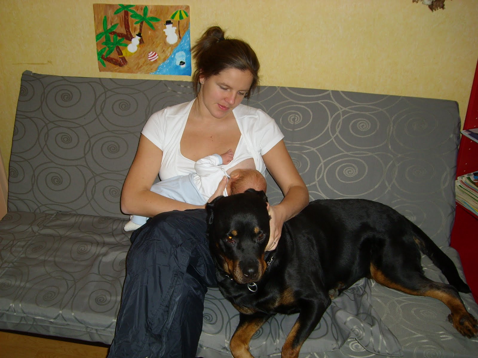 [SL707044.JPG]