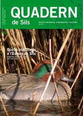 Quadern de Sils nº63