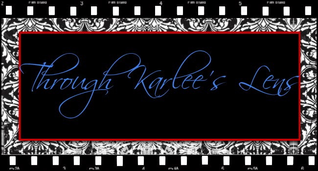 Through Karlee's Lens