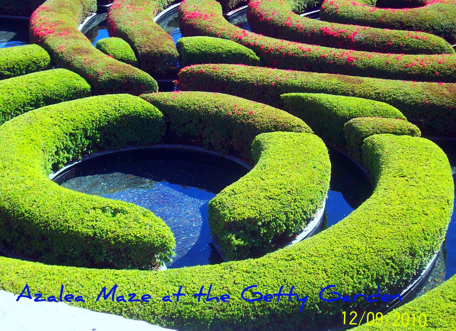 The Getty Garden