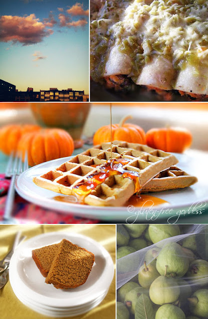 Gluten free recipes for Fall and Thanksgiving with vegan and dairy free recipes as well
