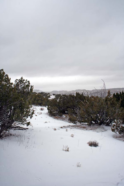 Snow in New Mexico- Karina Allrich