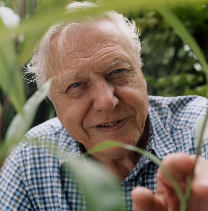 david attenborough