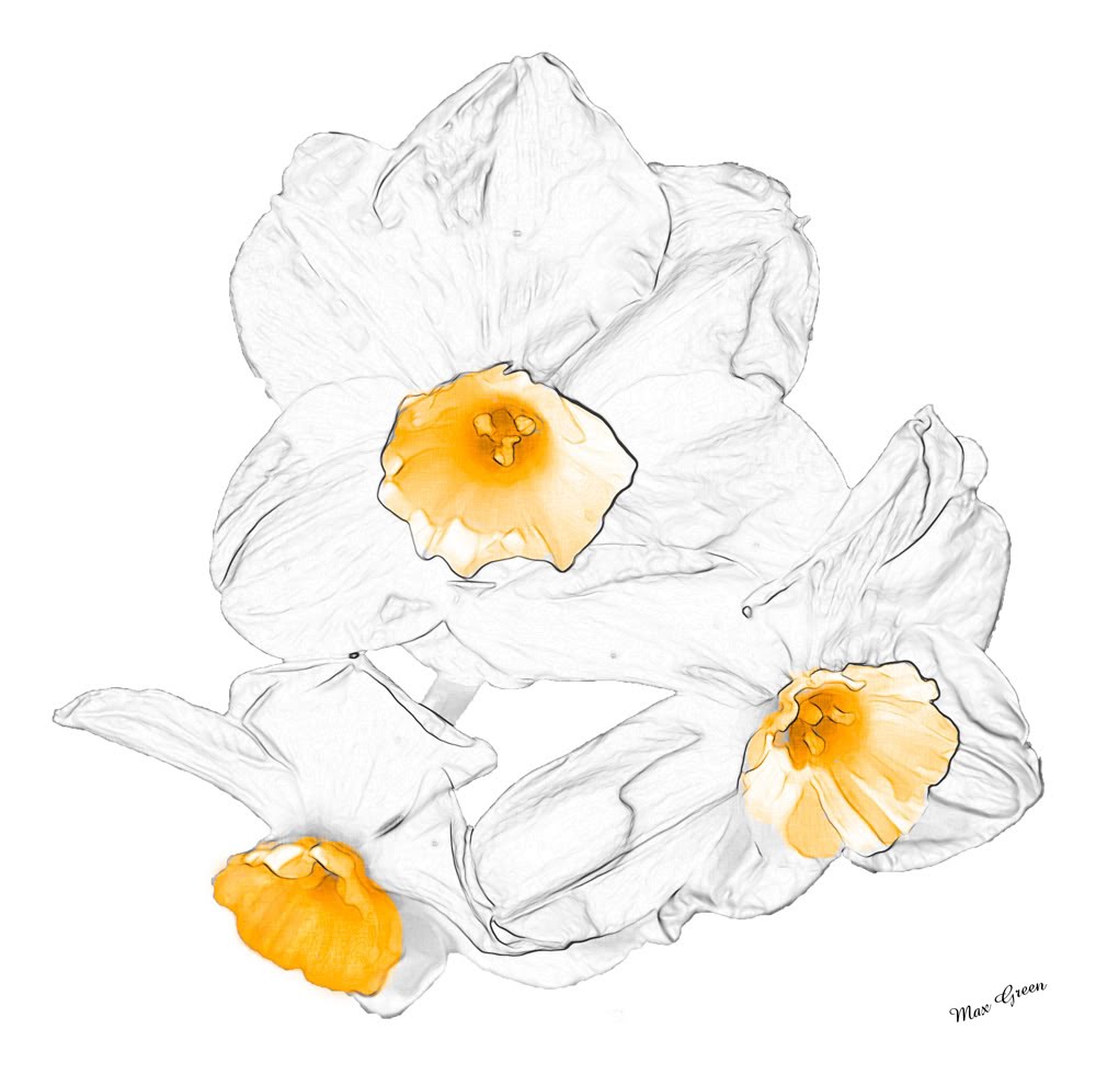 [Max+Green+flowers.bmp]