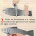 Como limpar e conservar Peixes Como limpar e conservar Peixes