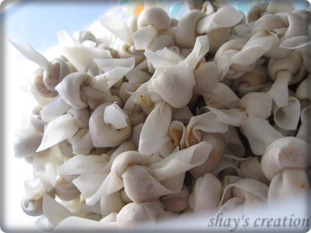 Popia Simpul
