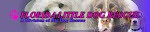 Florida Little Dog Rescue