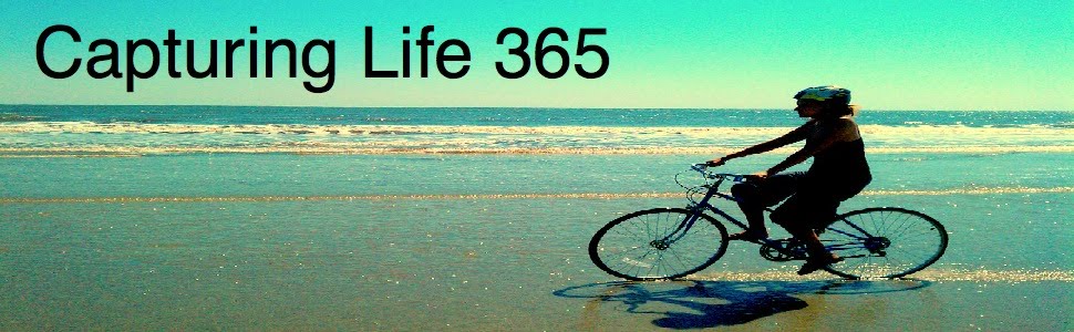 Capturing Life 365