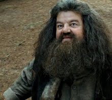 Hagrid ♥