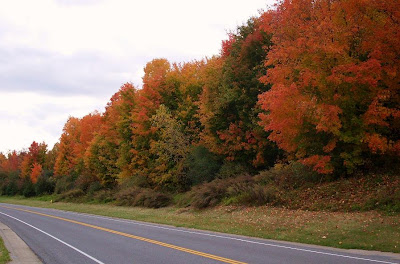 brilliant fall foliage near Victor NY