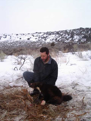 The Animal Wolverine