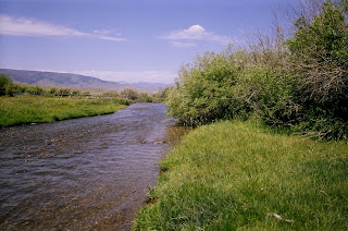 Lemhi River
