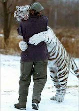 Tiger hug