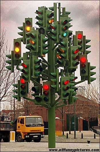 [Stoplight_Tree.jpg]