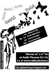 Skucha Gatas en Fuga